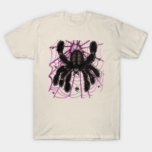 webby old school tattoo spider T-Shirt